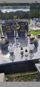 Screenshot 20260209 114859 WhatsApp